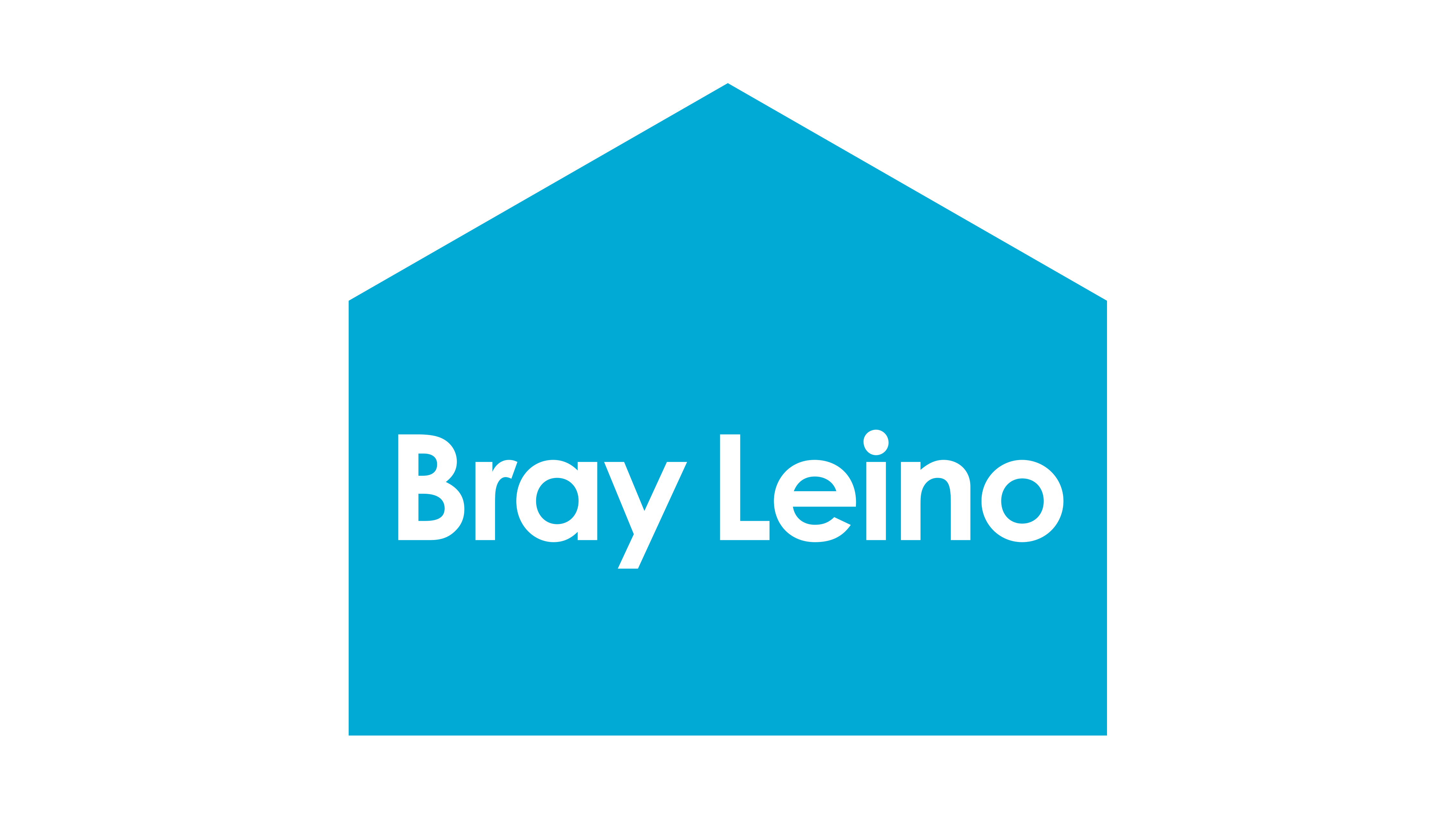 Bray Leino house logo